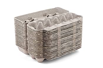 Amazon｜MT Products ブランク天然パルプエッグパックバルク最大